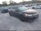 Honda Accord 2017