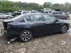 Honda Accord 2017