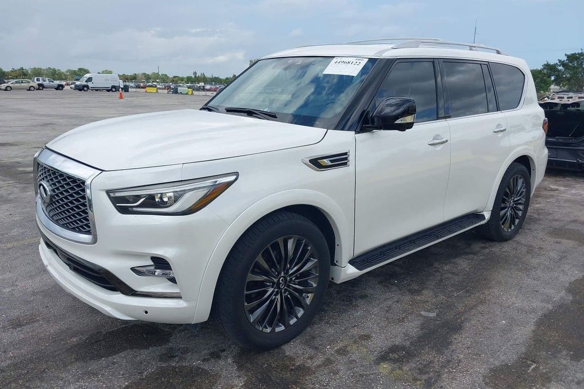Infiniti QX80 2024