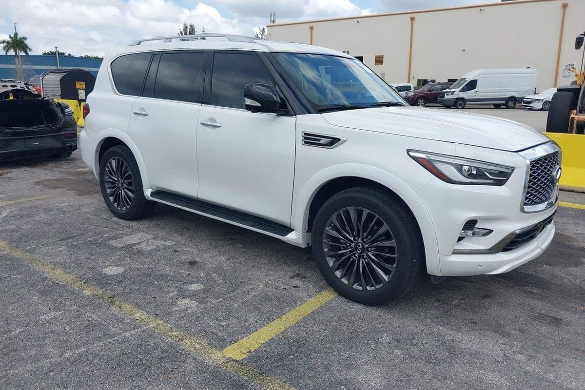 Infiniti QX80 2024