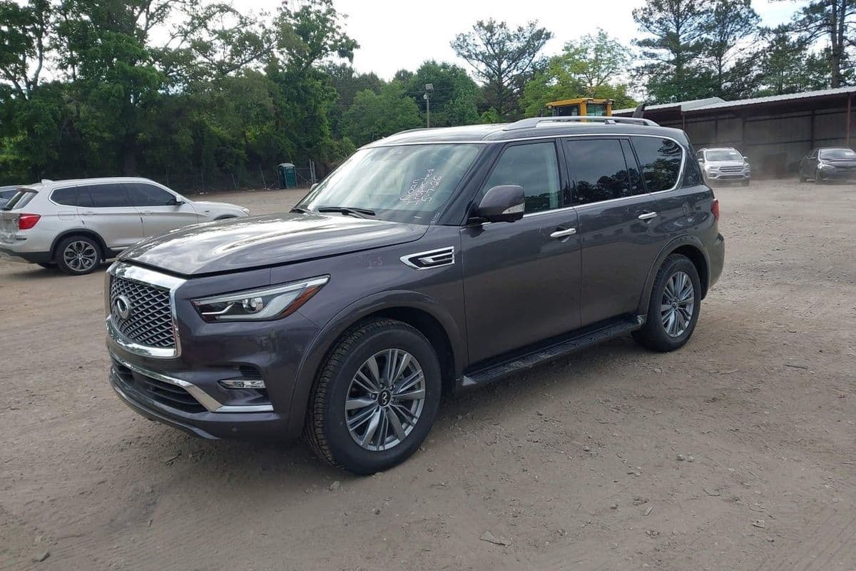 Infiniti QX80 2024