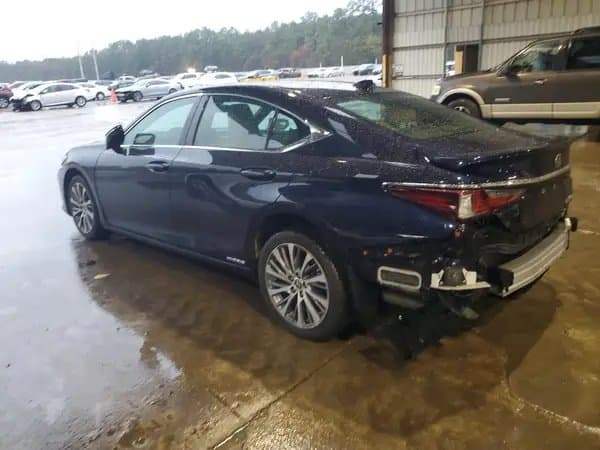 Lexus Es 2019