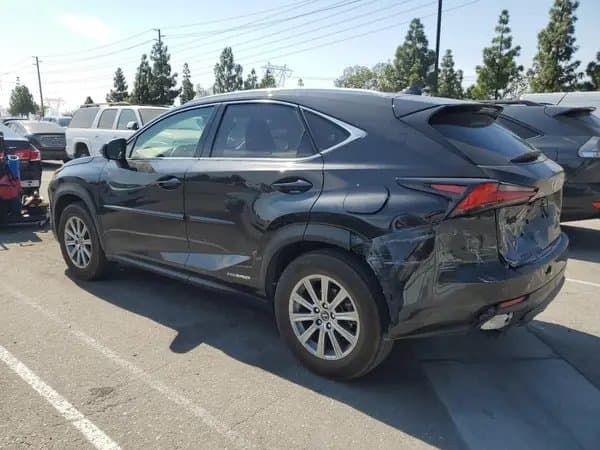 Lexus Nx 2019