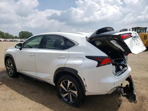 Lexus Nx 2019