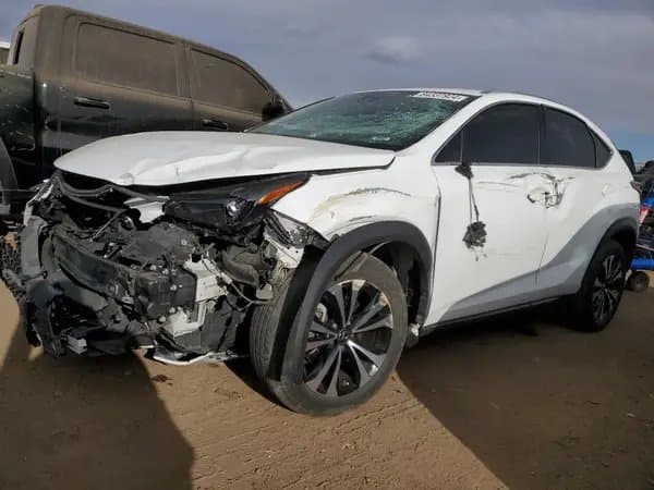 Lexus Nx 2021