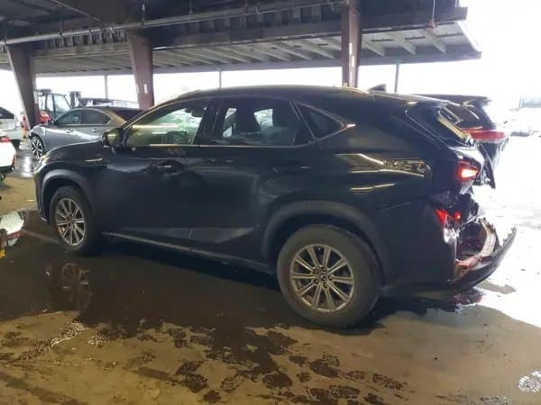 Lexus Nx 2021