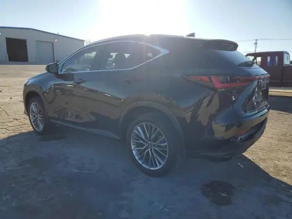 Lexus Nx 2022