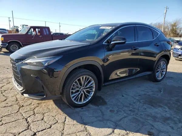 Lexus Nx 2022