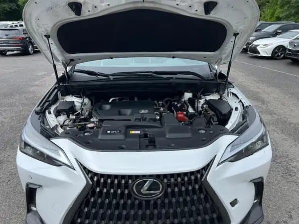 Lexus Nx 2022