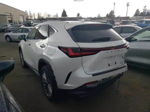 Lexus Nx 2022