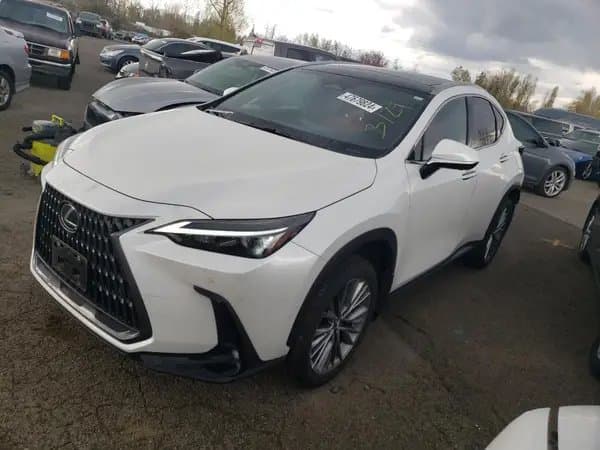 Lexus Nx 2022
