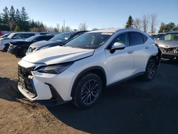 Lexus Nx 2023