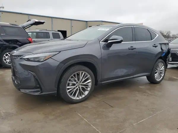 Lexus Nx 2023