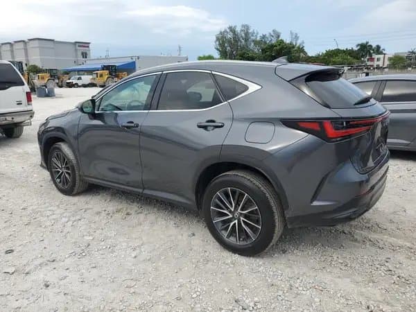 Lexus Nx 2024