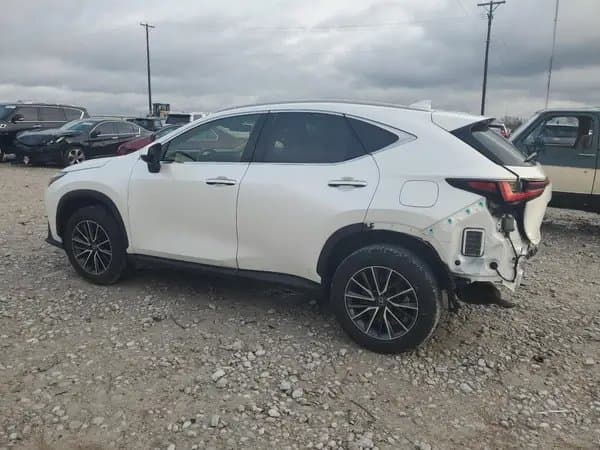 Lexus Nx 2024