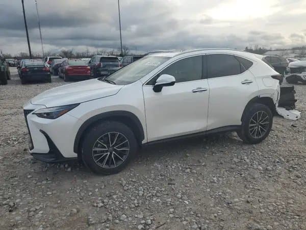 Lexus Nx 2024