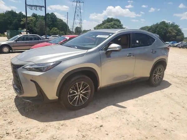 Lexus Nx 2024