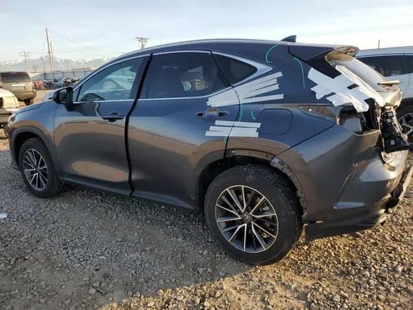 Lexus Nx 2024