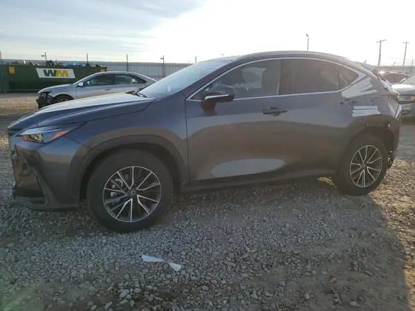 Lexus Nx 2024