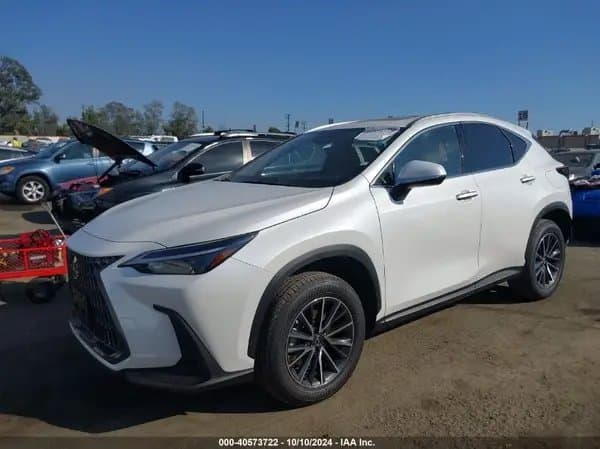 Lexus Nx 2024