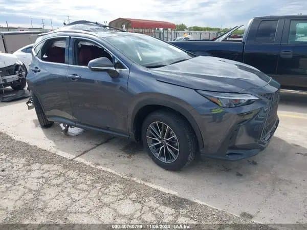 Lexus Nx 2024