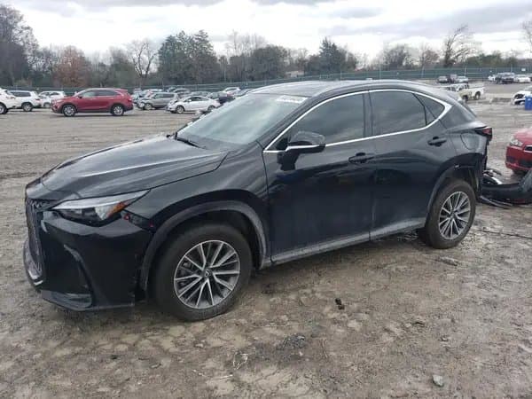 Lexus Nx 2025