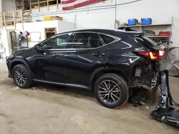 Lexus Nx 2025