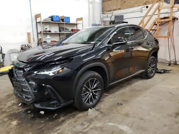 Lexus Nx 2025