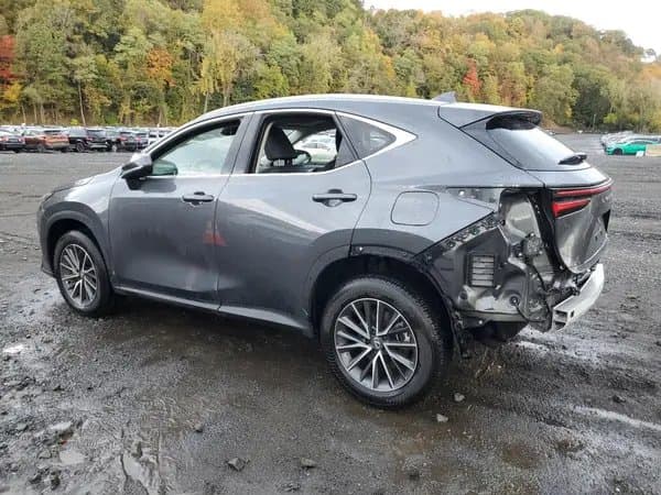 Lexus Nx 2025