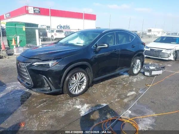Lexus Nx 2025