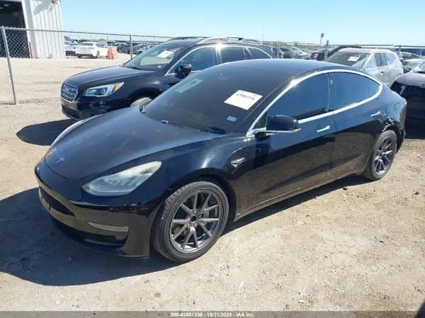 Tesla Model 3 2019