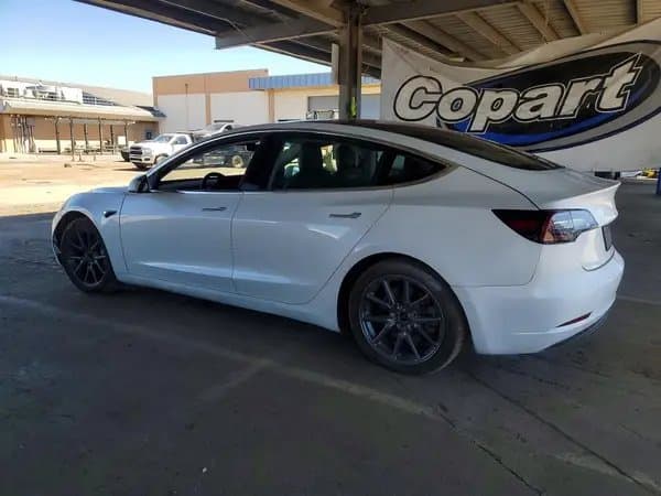 Tesla Model 3 2019