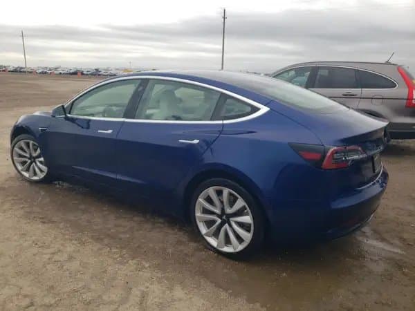 Tesla Model 3 2019