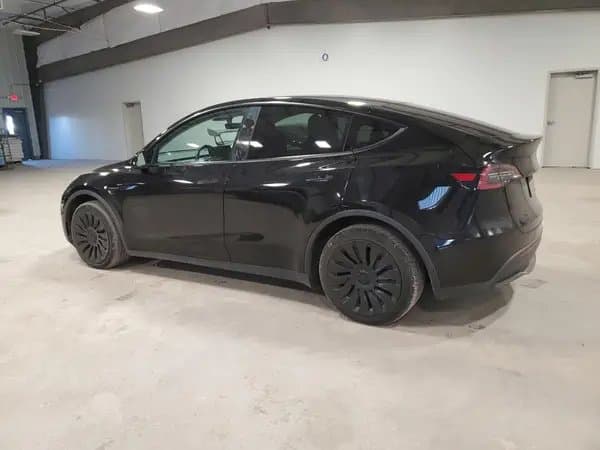 Tesla Model Y 2020