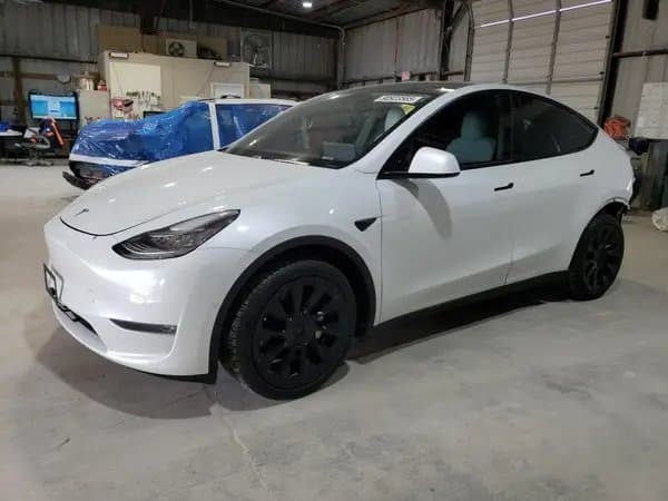 Tesla Model Y 2020