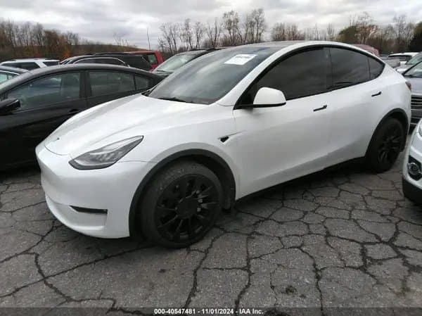 Tesla Model Y 2021