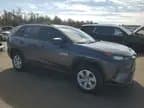 Toyota RAV4 2019