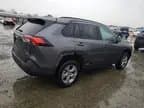 Toyota RAV4 2023