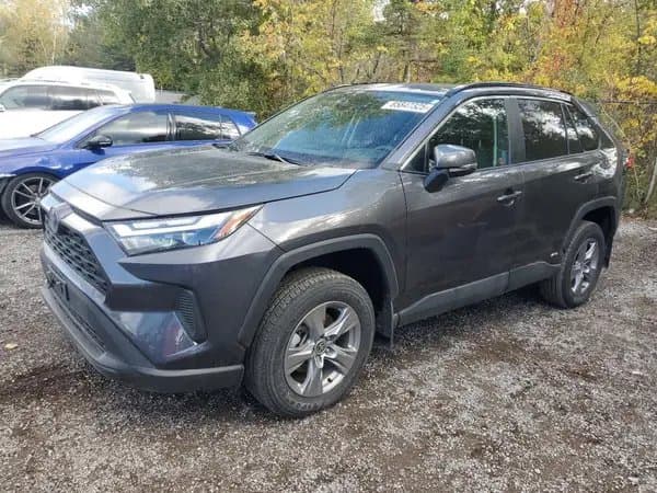 Toyota RAV4 2024