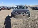 Toyota Sienna 2024